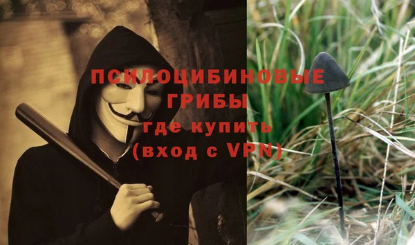 твердый Алексин